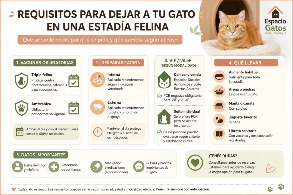 Infografía sobre requisitos para dejar a tu gato en una estadía felina en CABA: vacunas, VIF/ViLeF, desparasitación y qué llevar.