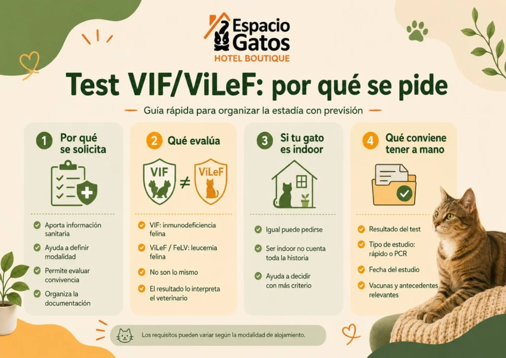 Infografía de Espacio Gatos sobre por qué se pide el test VIF y ViLeF antes de una estadía felina, qué evalúa y qué documentación conviene tener a mano.