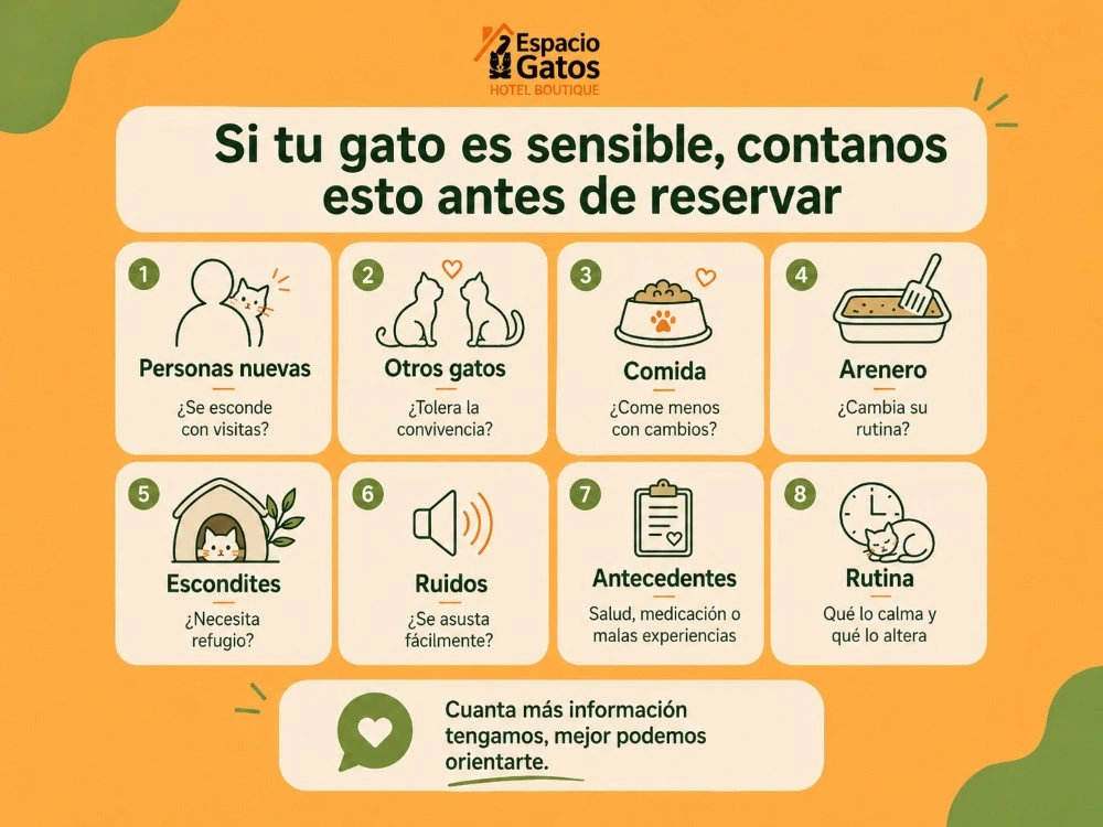 Infografía de Espacio Gatos con la información que conviene compartir antes de reservar una estadía para un gato tímido o sensible.
