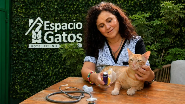 Veterinaria de Espacio Gatos con un gato en brazos junto al cartel del hotel felino.
